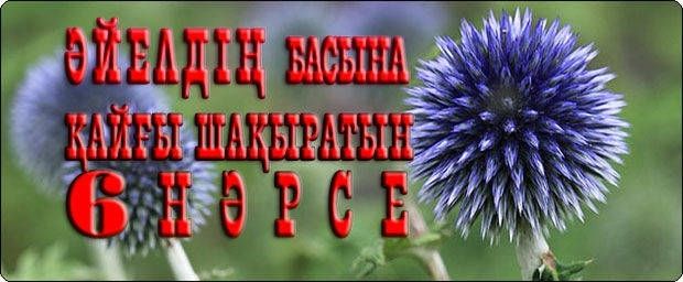 Әйелдің басына қайғы шақыратын 6 нәрсе